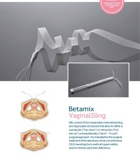 BETAMİX MİNİ SİLİNG